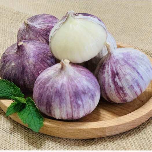 黑山县独头蒜 大蒜 蒜
