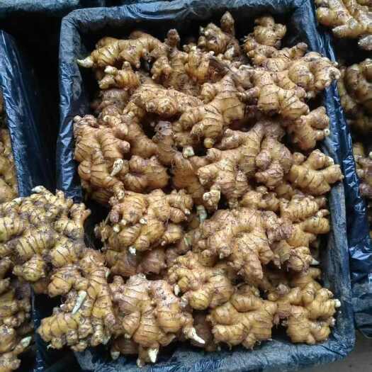 六盘水冻库现货供应