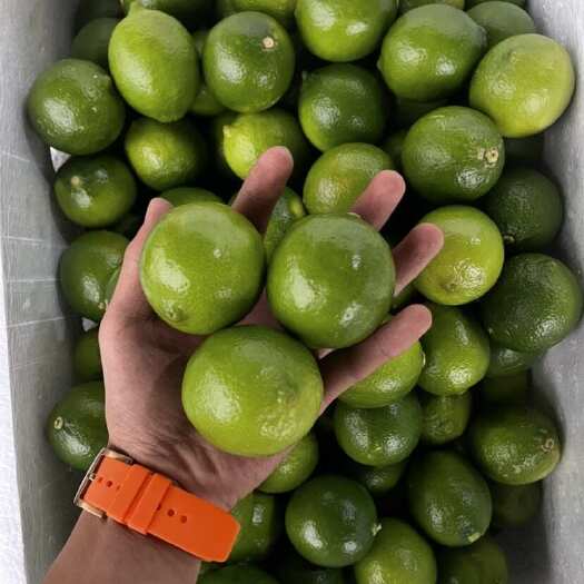 昆明泰国无籽柠檬 塔希提