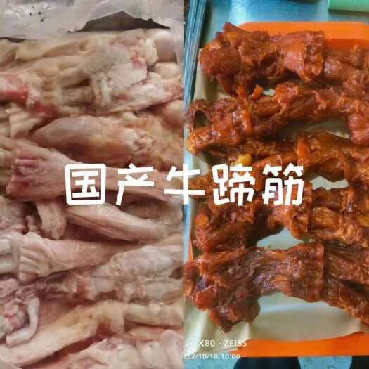 牛蹄筋 新鲜冷冻生牛蹄筋 主筋 工厂直接发货  熟食店