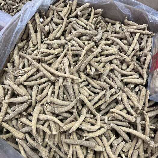 昆明西洋参山东条10克