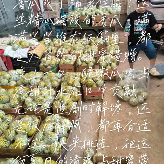 花美人甜瓜量大从优