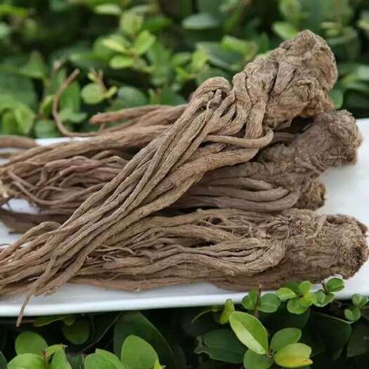 岷县岷当归中药材 甘肃定西岷县产地直供 滋补药材优质选择