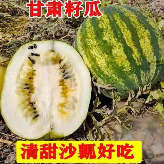 靖远县甘肃靖远有籽西瓜新鲜水果直供