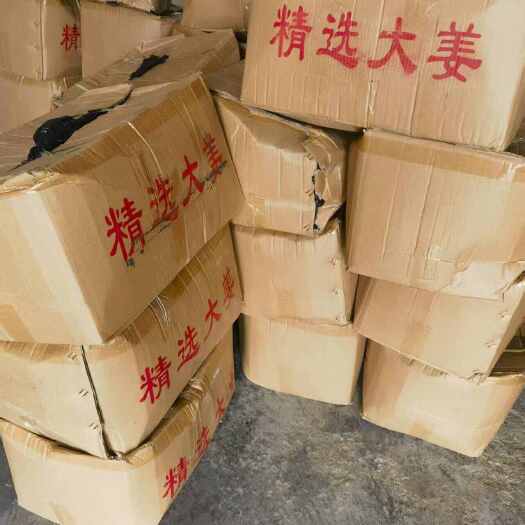 成都生姜，黄姜，精品黄姜，限1500斤，四川地区包邮递(物流)