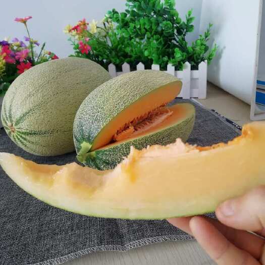 脆甜哈密瓜甜新鲜水果网纹瓜，提供一件代发