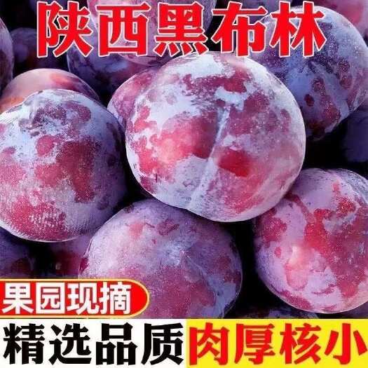 西安一件代发哥布林大李子！货源充足！每一箱都是批发价