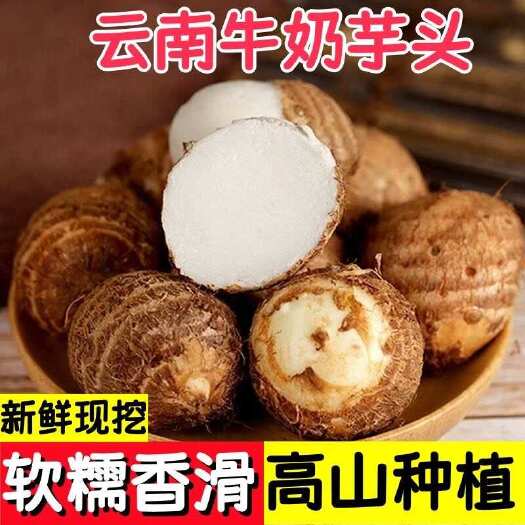 一件代发！云南新鲜牛奶毛芋头迷你小芋头香糯特小芋头减脂粉芋