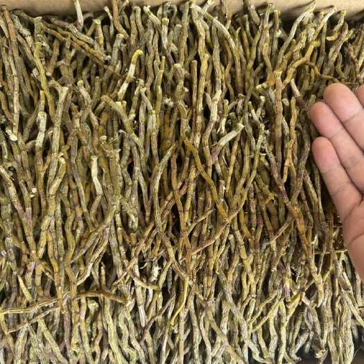 昆明铁皮石斛芽尖，产地直销，一手货源，量大价优