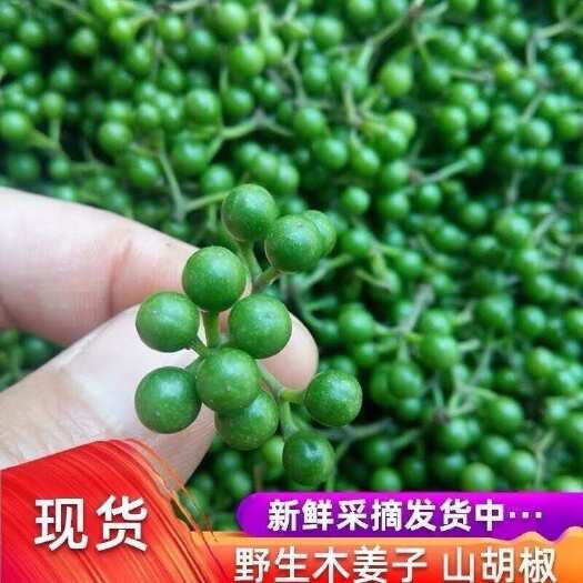 上犹县江西山胡椒野生木姜子火锅底料山苍子木浆子天然木姜子