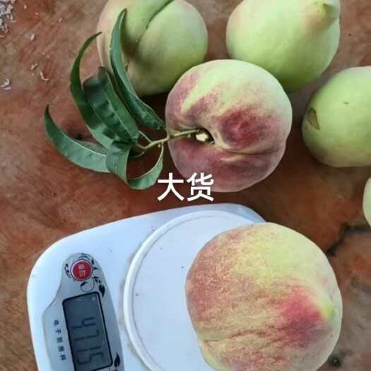 自家种的鹰嘴桃云南文山平远镇高原上的鹰嘴桃，甜度高，可试吃，