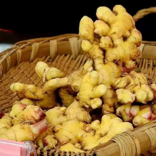 简阳市小黄姜 老姜现货