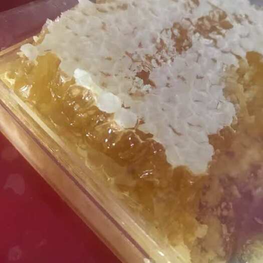 永嘉县嚼着吃的巢蜜，自产自销，每盒500克