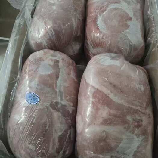 鄄城县母猪2号卷