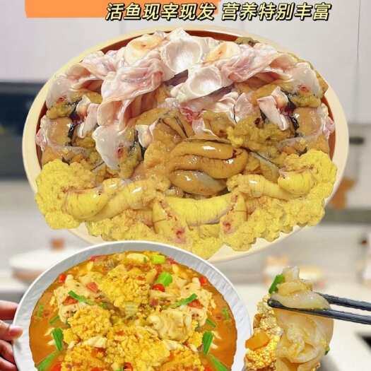 济南鱼籽鱼泡（大鲤鱼）！味道鲜美！