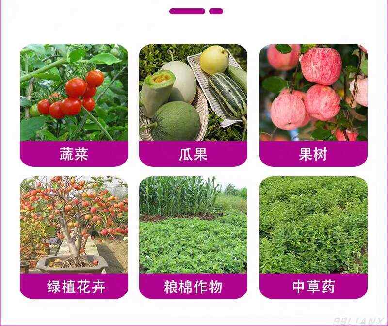 1亚磷酸钾，控旺控梢，膨大果实，保花保果，防病防溃疡霜霉病