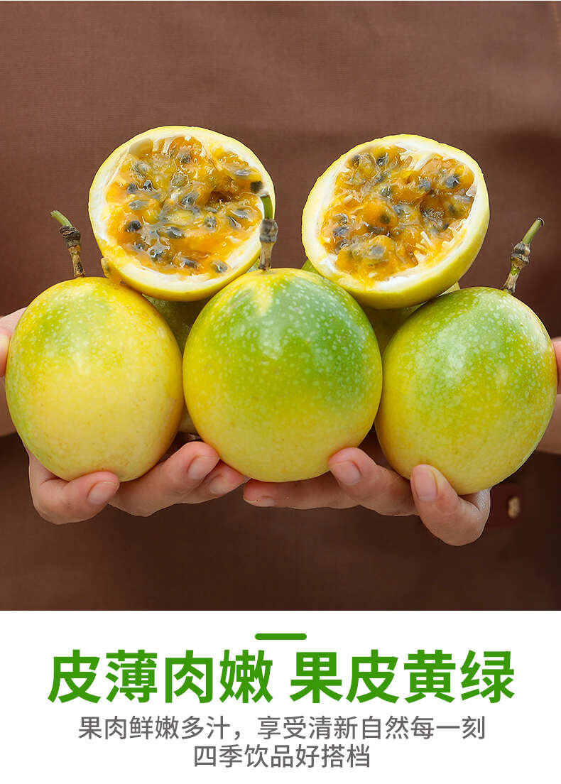 一件代发广西钦蜜9号黄金百香果 对接电商平台直播当季新鲜水果