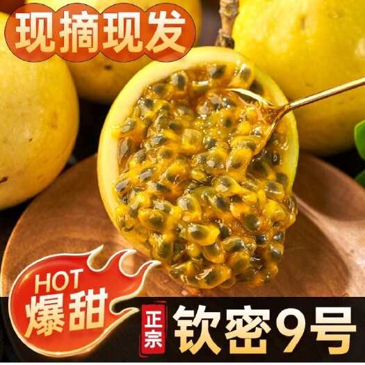 屏边县钦蜜9号百香果