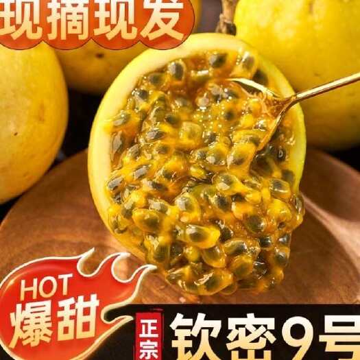 屏边县钦蜜9号百香果