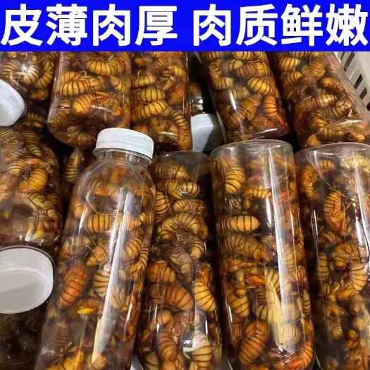 金蝉，知了猴可做一件代发
