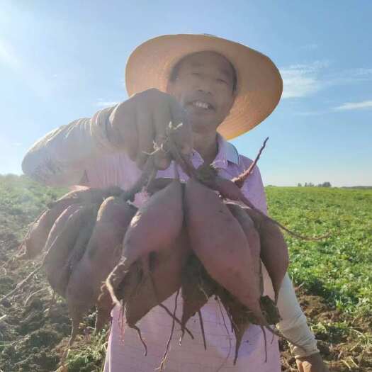 襄樊湖北紫罗兰紫薯一件代发云仓发货