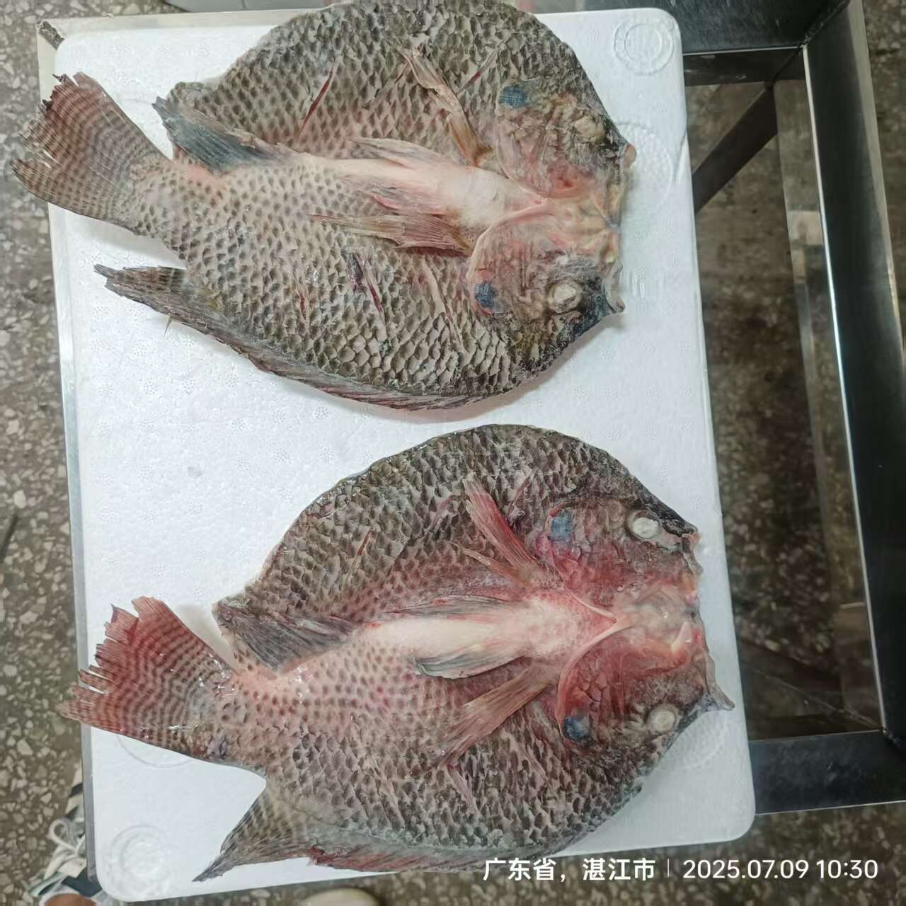 罗非鱼，开背，鱼块