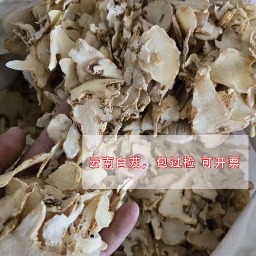 昆明白及
