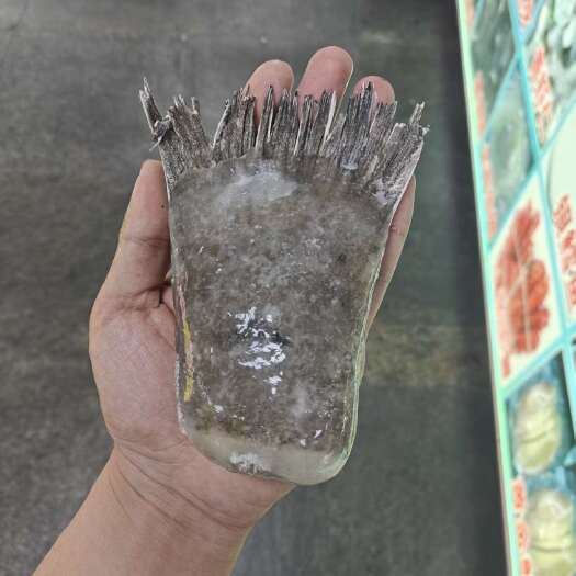 品名：碟鱼尾型号：80+规格：去箱20斤一件。