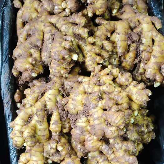 文山市云南高山小黄姜电商货