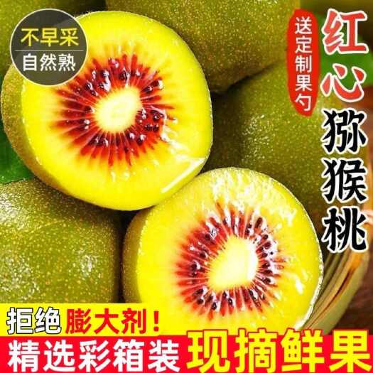 四川红心猕猴桃一件代发提供一件代发社区团购电商对接
