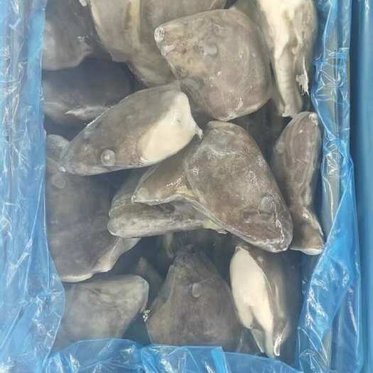临沂鲽鱼头