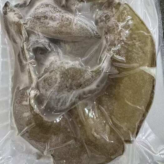 临沂甲鱼裙边