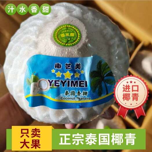 泰国椰青      量大从优