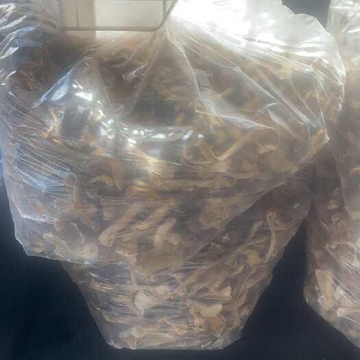 天津大球盖菇