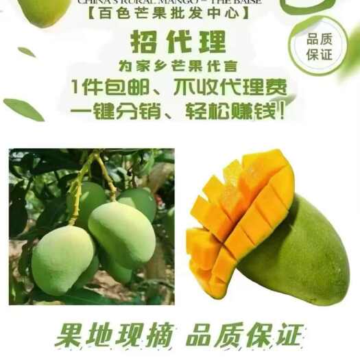 百色百色芒果之乡产地直发，一件代发，批发＋零售，欢迎各位老板下单