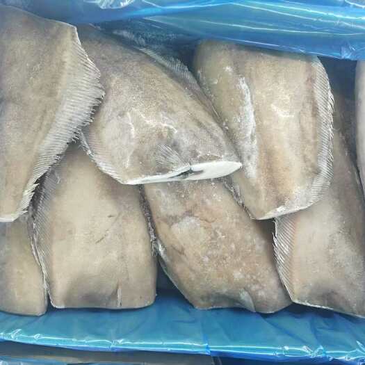 济南鲽鱼身