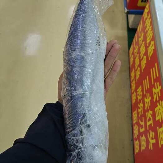 临沂鲅鱼