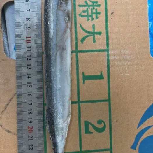 泰安品名：秋刀鱼3号型号：3号，一条90-100克左右