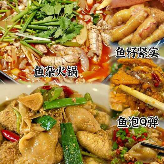 济南鱼籽鱼泡