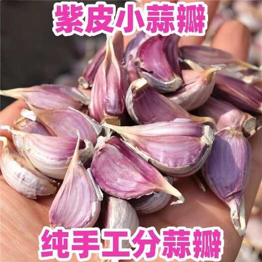 邵东市优质大蒜种子散装高发芽率95%