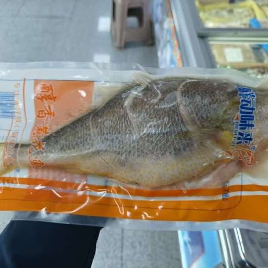 济南黄花鱼/开背黄花鱼