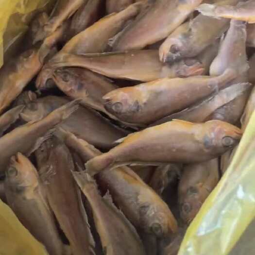 济南小黄花鱼一箱十斤，一箱120条以内开堂去肠去腮去鳞