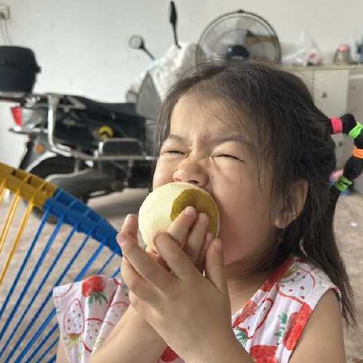 澧县翠冠梨