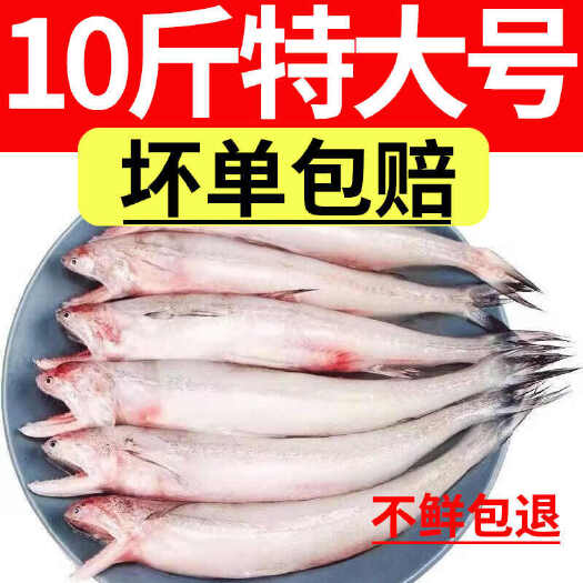 日照〖顺丰〗龙头鱼单冻龙头鱼块冻水豆腐鱼龙头鲓顺丰包邮样品