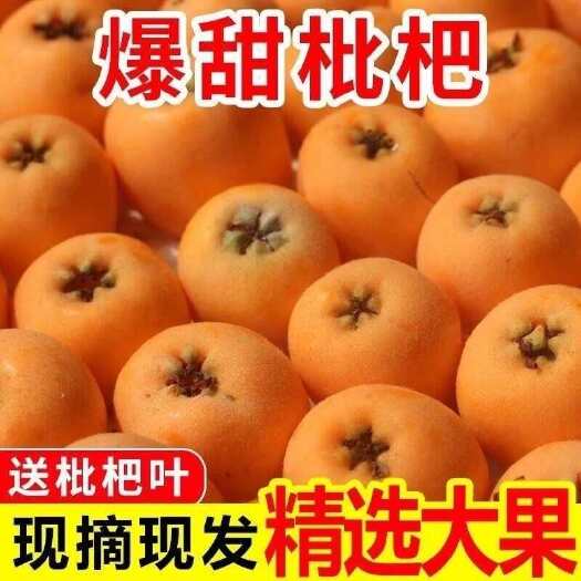 5斤枇杷鲜果石棉枇杷新鲜水果整箱当季琵琶果枇把孕妇