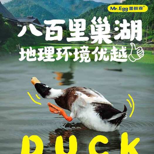 南昌鸭
