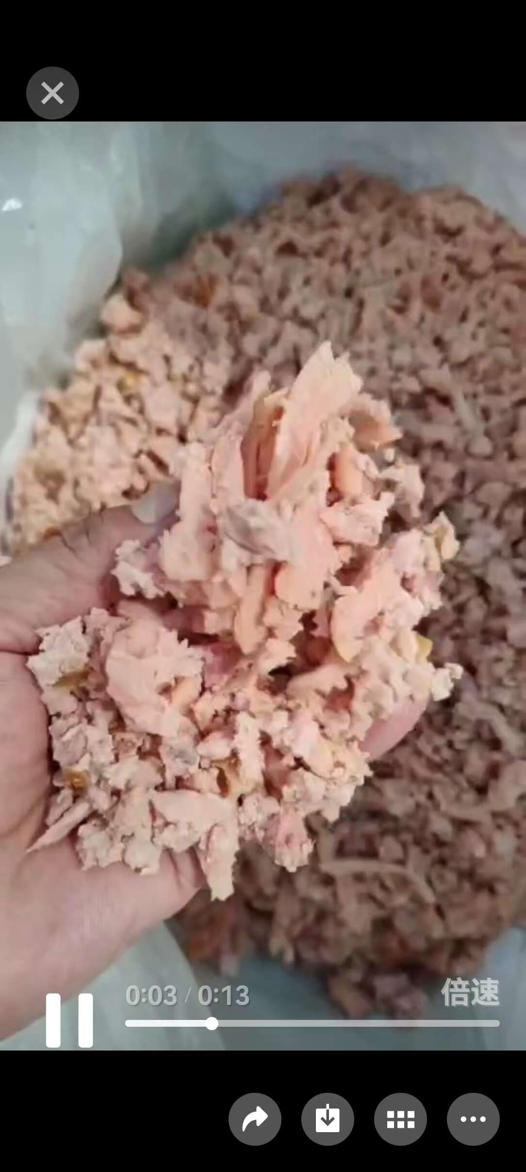 火腿肠碎片