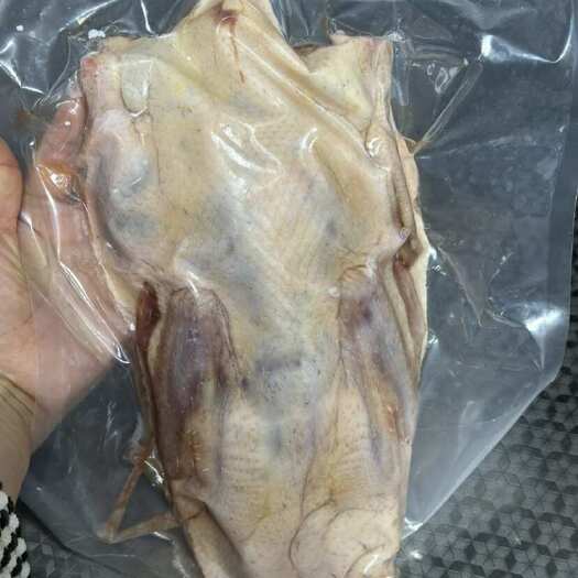 青阳县合作社新鲜现杀老麻鸭，十万只，每天杀4000只