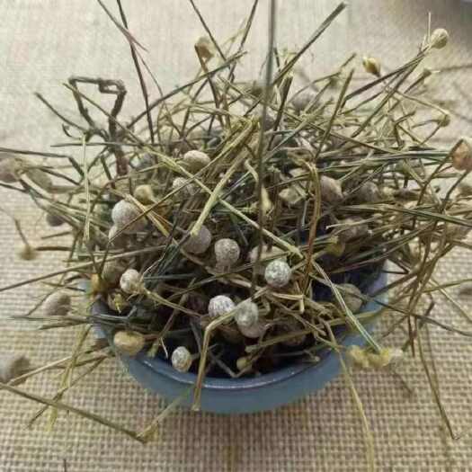 安国市谷精草 地道药材 2斤包邮 量大优惠