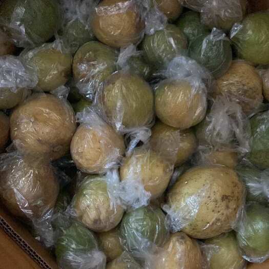 柠檬榨汁果丑皮果，非市场货下单前务必咨询清楚再决定